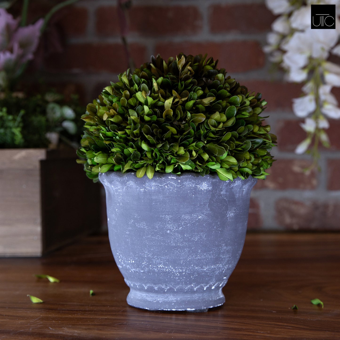 Modern Terracotta Planter with Sculpted Wave Rim