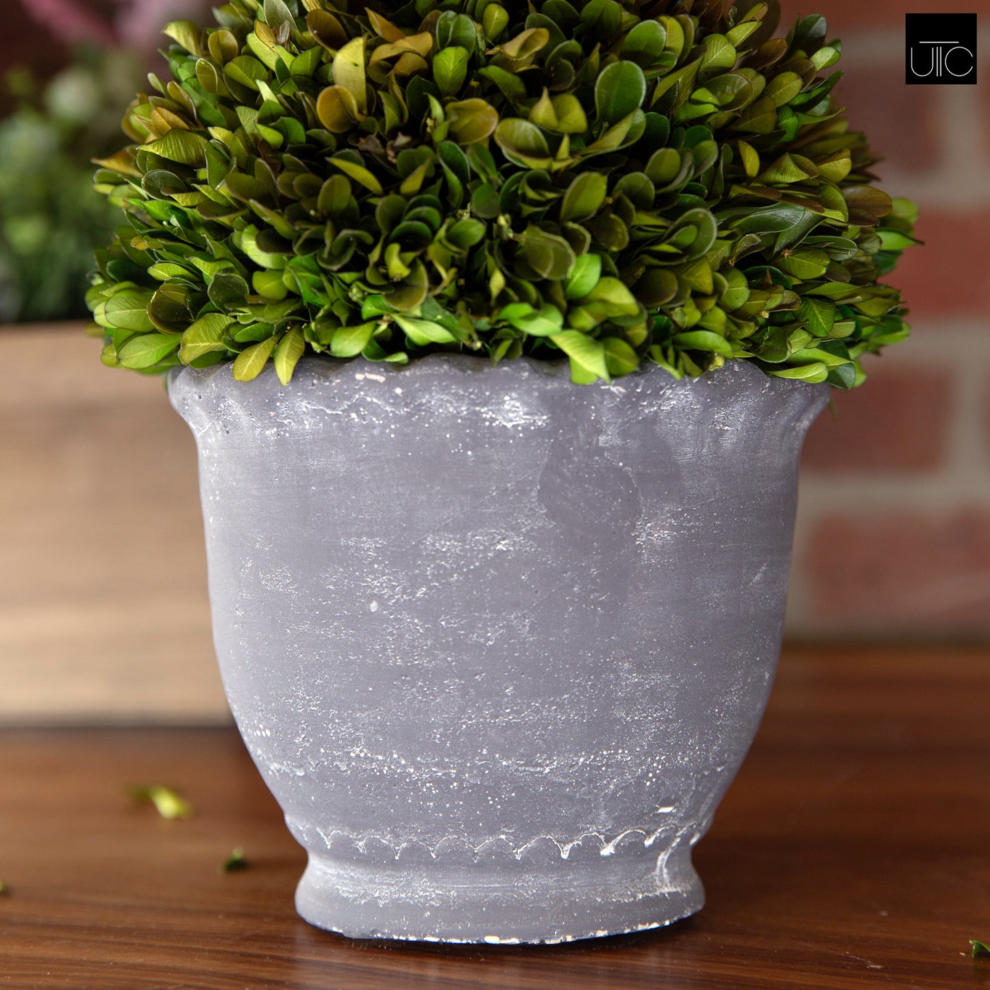 Modern Terracotta Planter with Sculpted Wave Rim