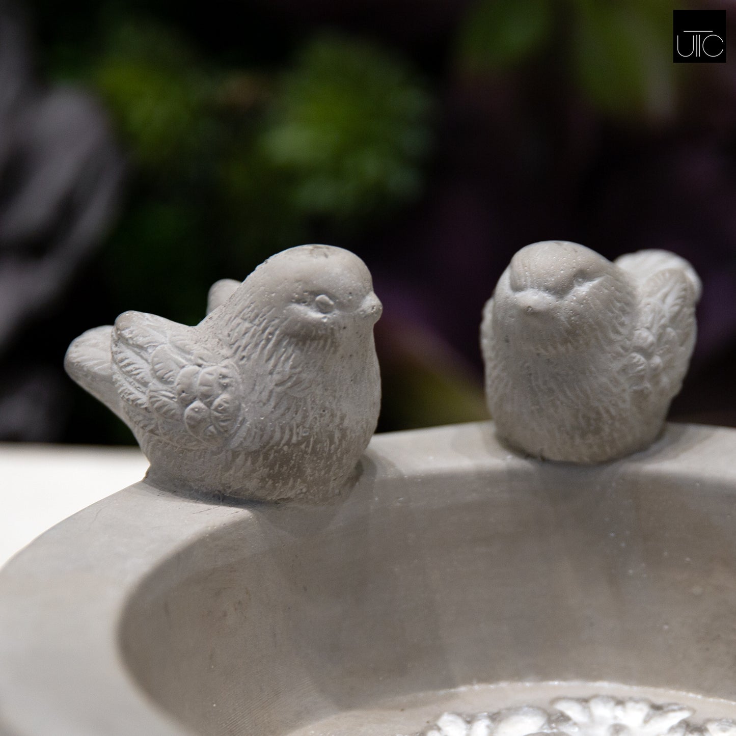 Leia Bird Bath Round Cement Figurine