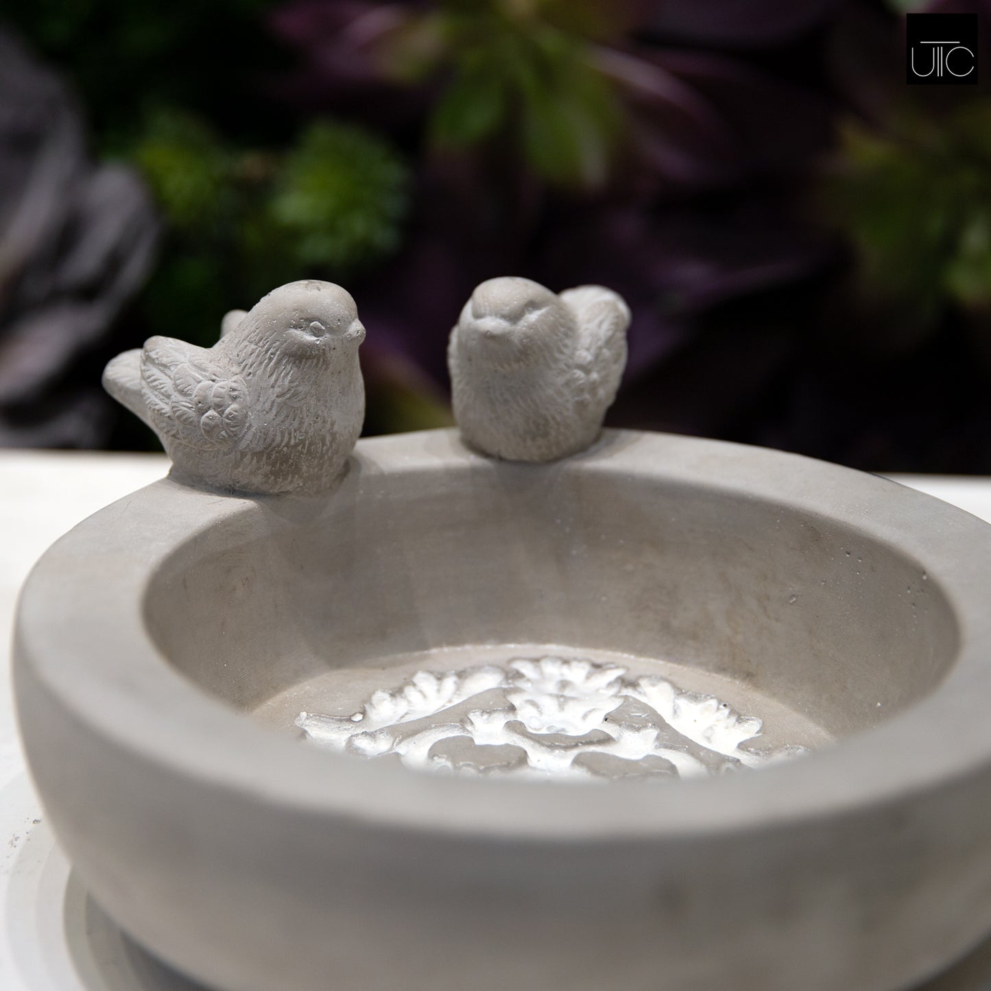 Leia Bird Bath Round Cement Figurine