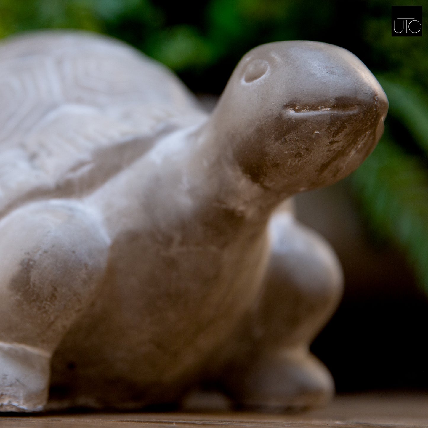 Rumi Terracotta Turtle Figurine