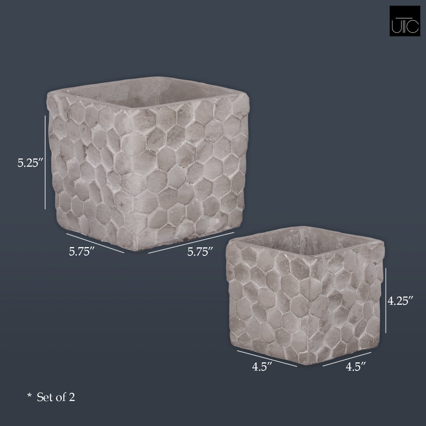 Gaia Cement Scales Square Pot Set (Set of 2)