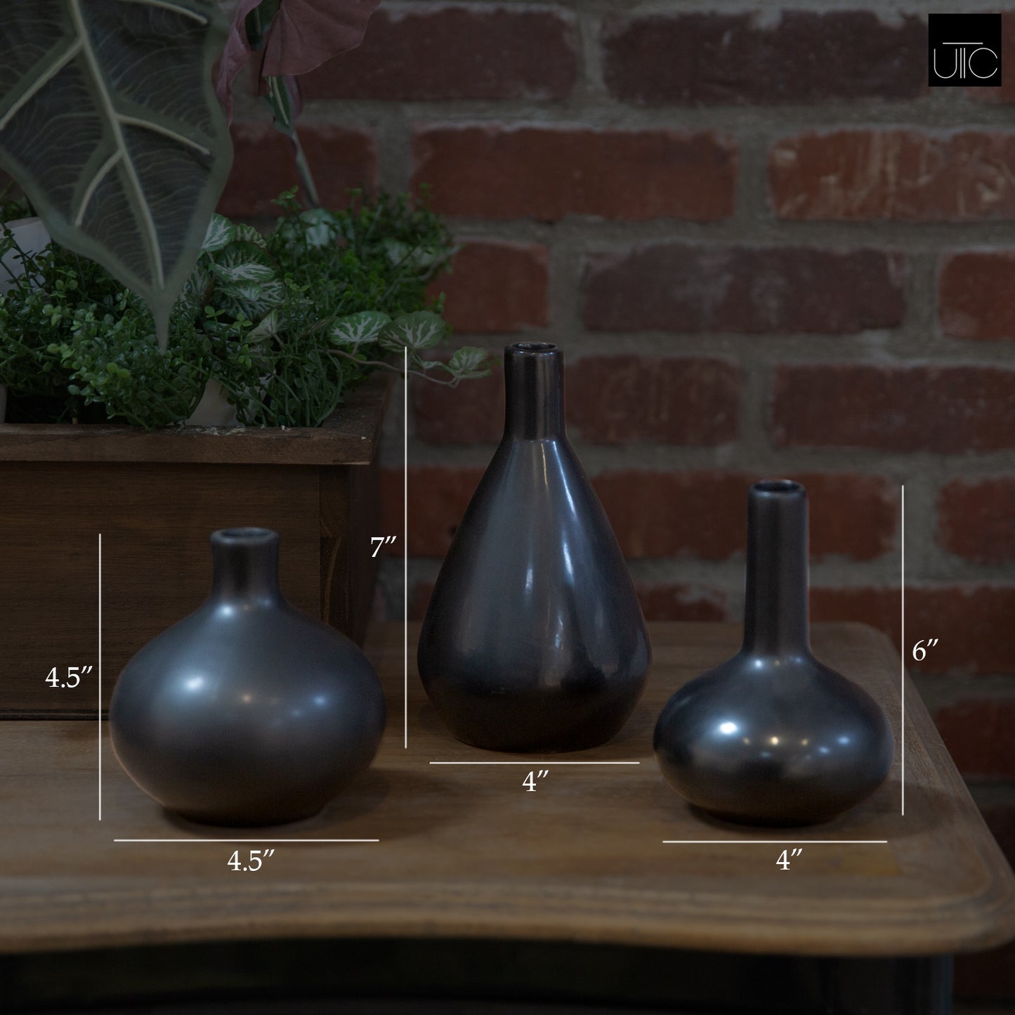 Yanna Ceramic Vase Set (Set of 3)