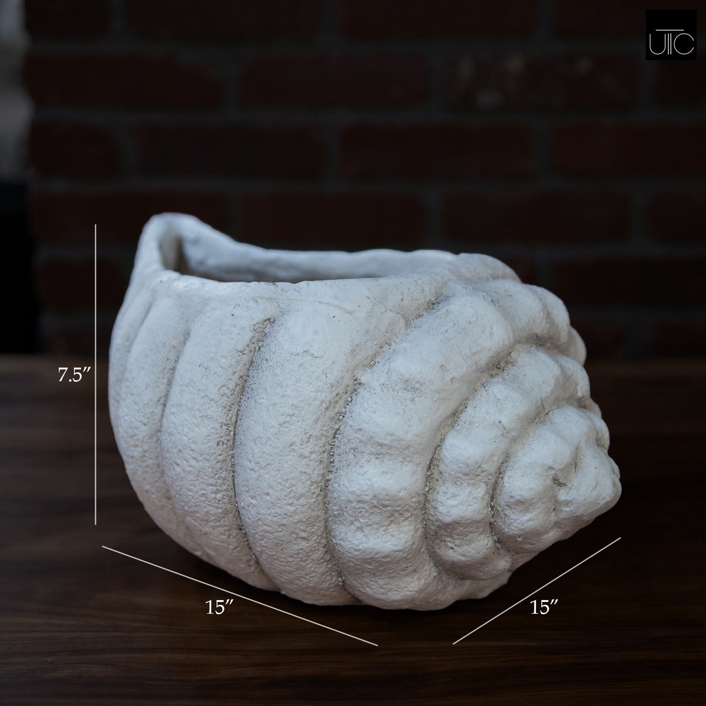 Mira Fiberglass Conch Planter