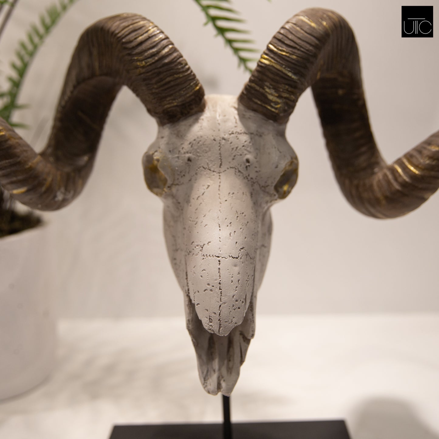 Alvryn Polyresin Goat Head Decor