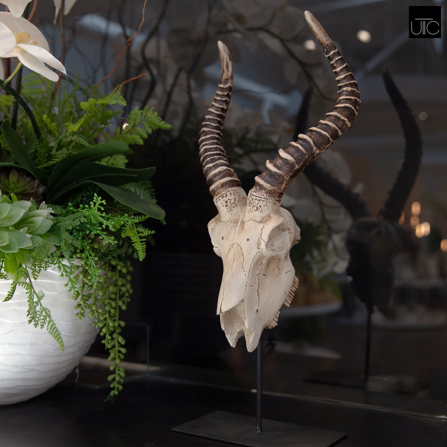 Ormere Polyresin Goat Head Decor