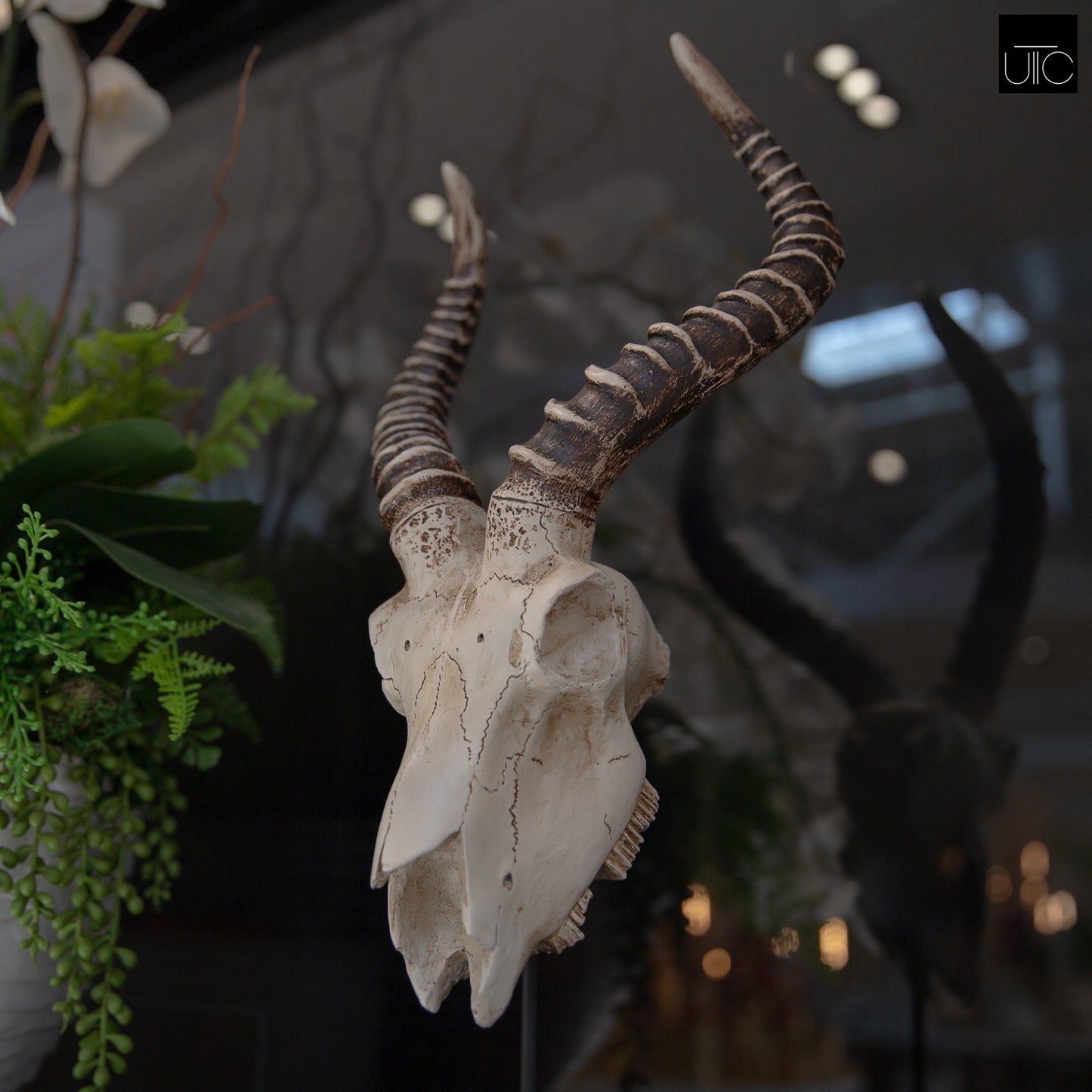 Ormere Polyresin Goat Head Decor