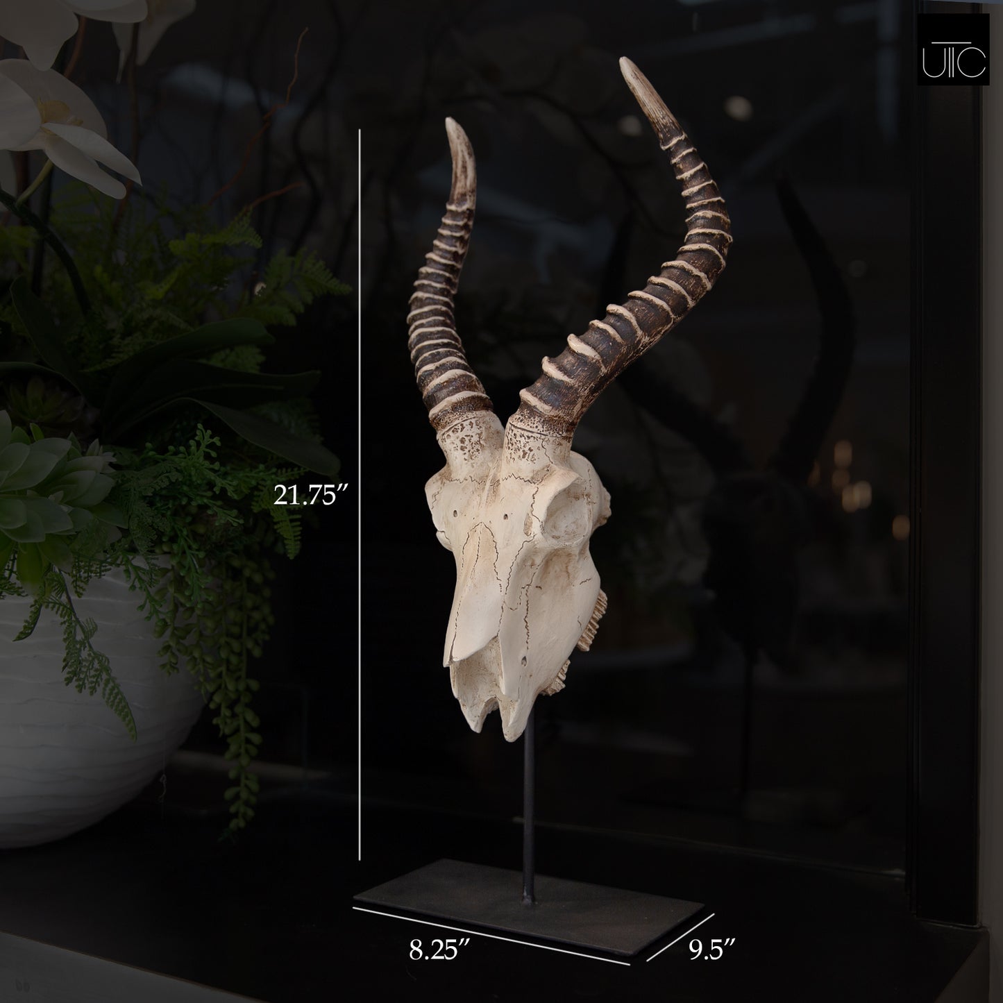 Ormere Polyresin Goat Head Decor