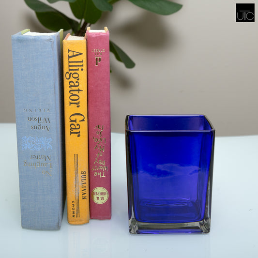 Lizze Clear Glass Cube Vase