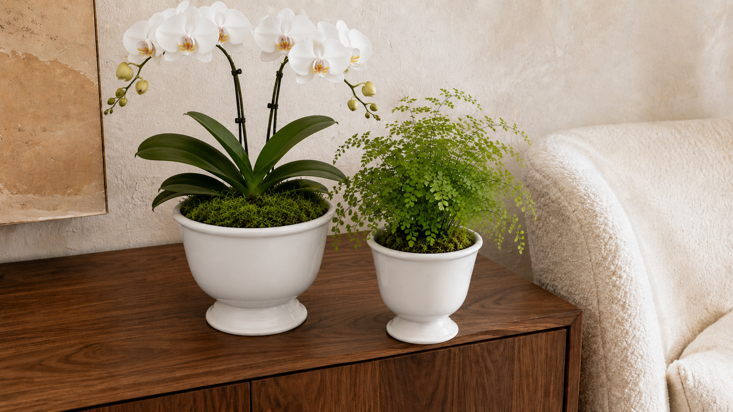 Zavine Matte White Pedestal Planter