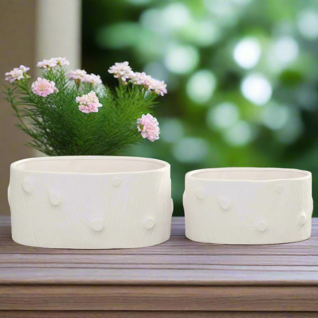 Potria Ceramic Oval Planter Set (Set of 2)