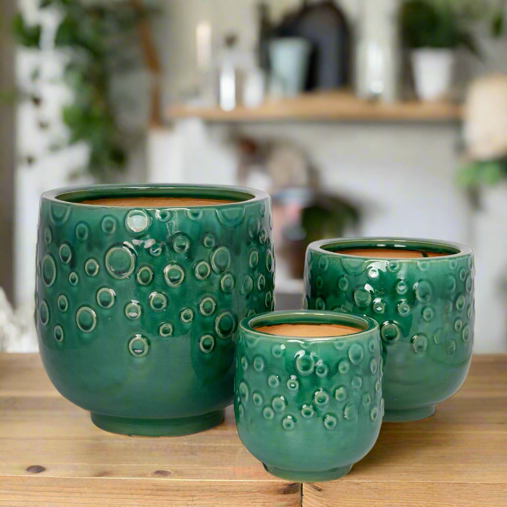 Aven Blossom Ceramic Planter Set (Set of 3)
