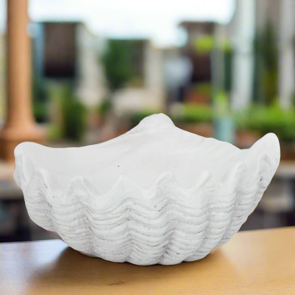 Emeighleigh Polyresin Shell Planter