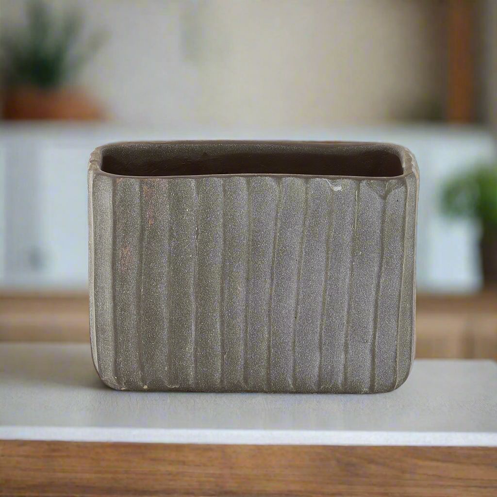 Rectangular ceramic planter on a wooden surface with a blurred indoor setting
