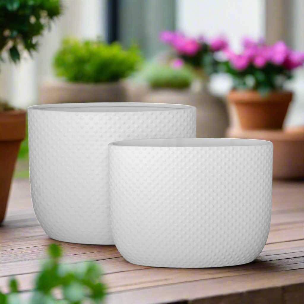 Dovara Symmetry Oval Ceramic Planter Set (Set of 2)
