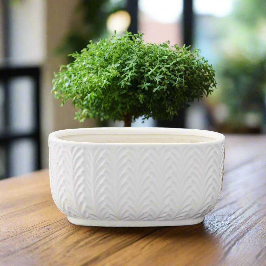 Vivienne Ceramic Low Oval Pot