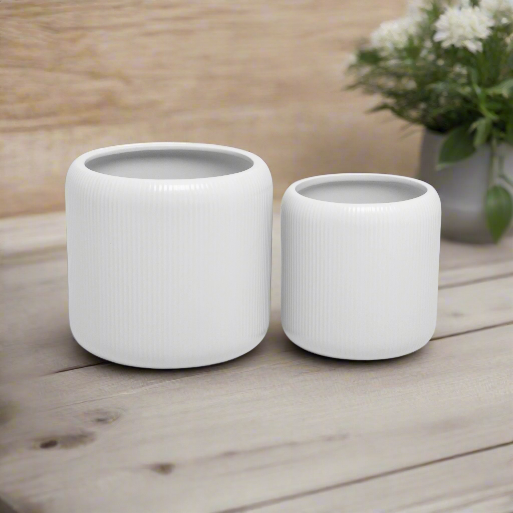 Ceyvon Matte Ceramic Planter Set (Set of 2)