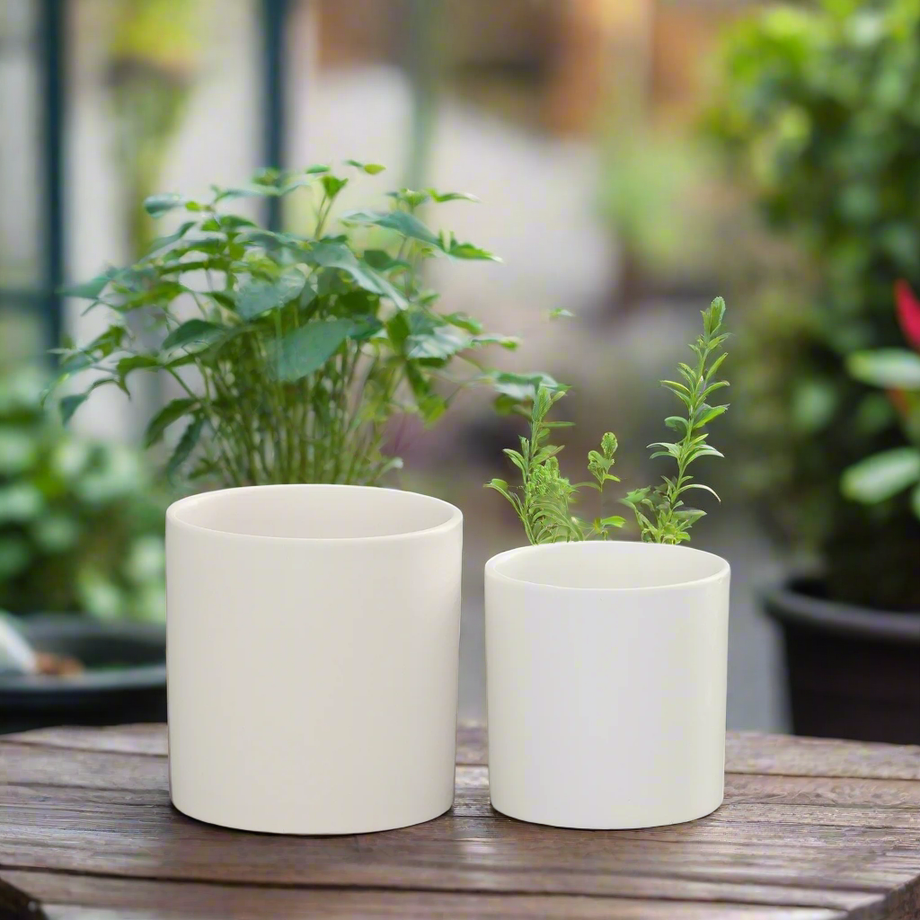 Ollie Ceramic Plain Round Pot (Set of 2)