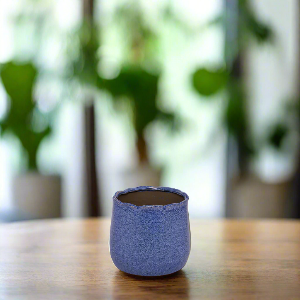 Agatha Ceramic Pot