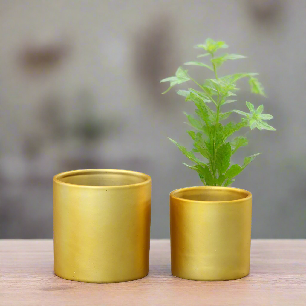 Ollie Ceramic Plain Round Pot (Set of 2)