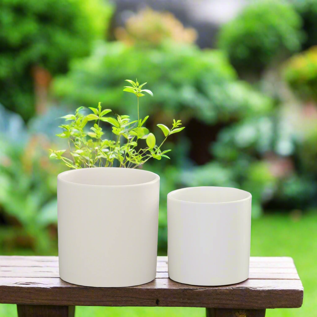 Ollie Ceramic Plain Round Pot (Set of 2)