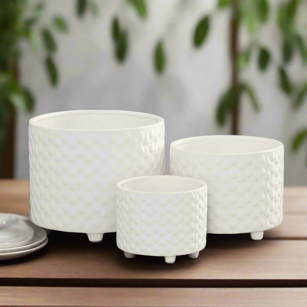 Caelum Ceramic Planter Set (Set of 3)