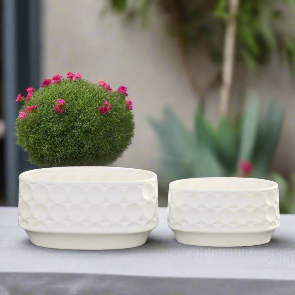 Yvessa Dotted Oval Ceramic Planter Set (Set of 2)