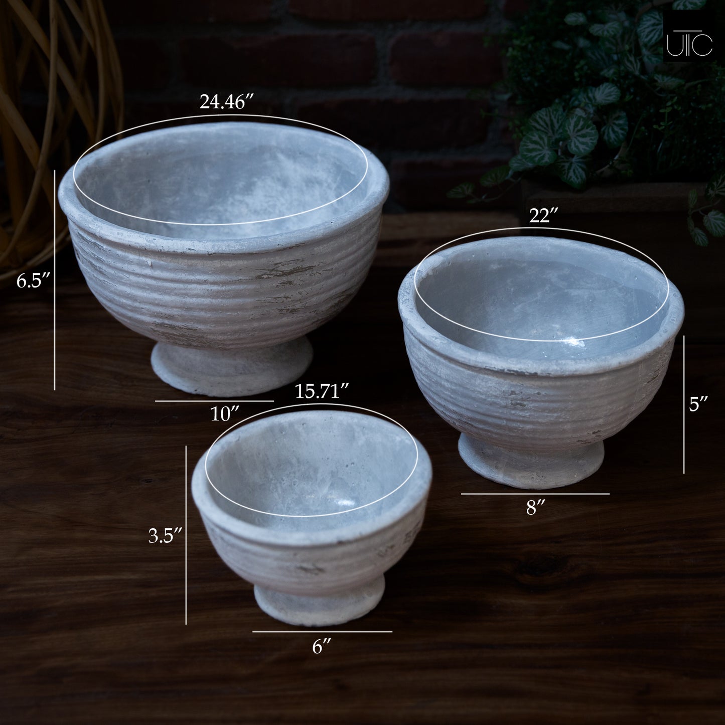 Iris Cement Urn Planter