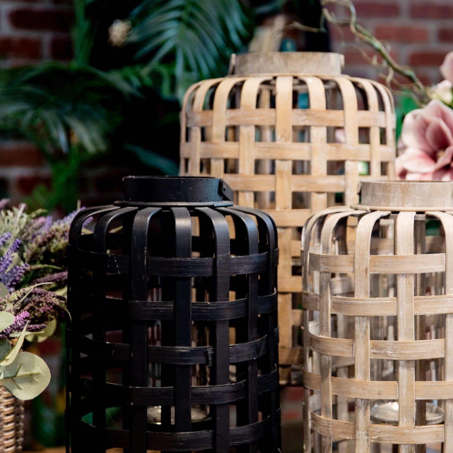 Bamboo Lanterns