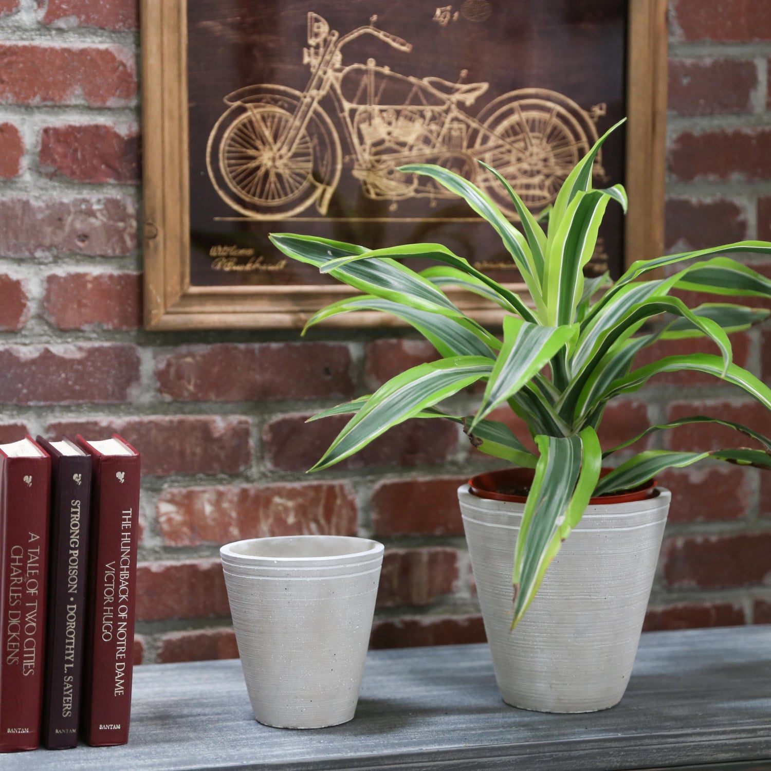Cement Planters