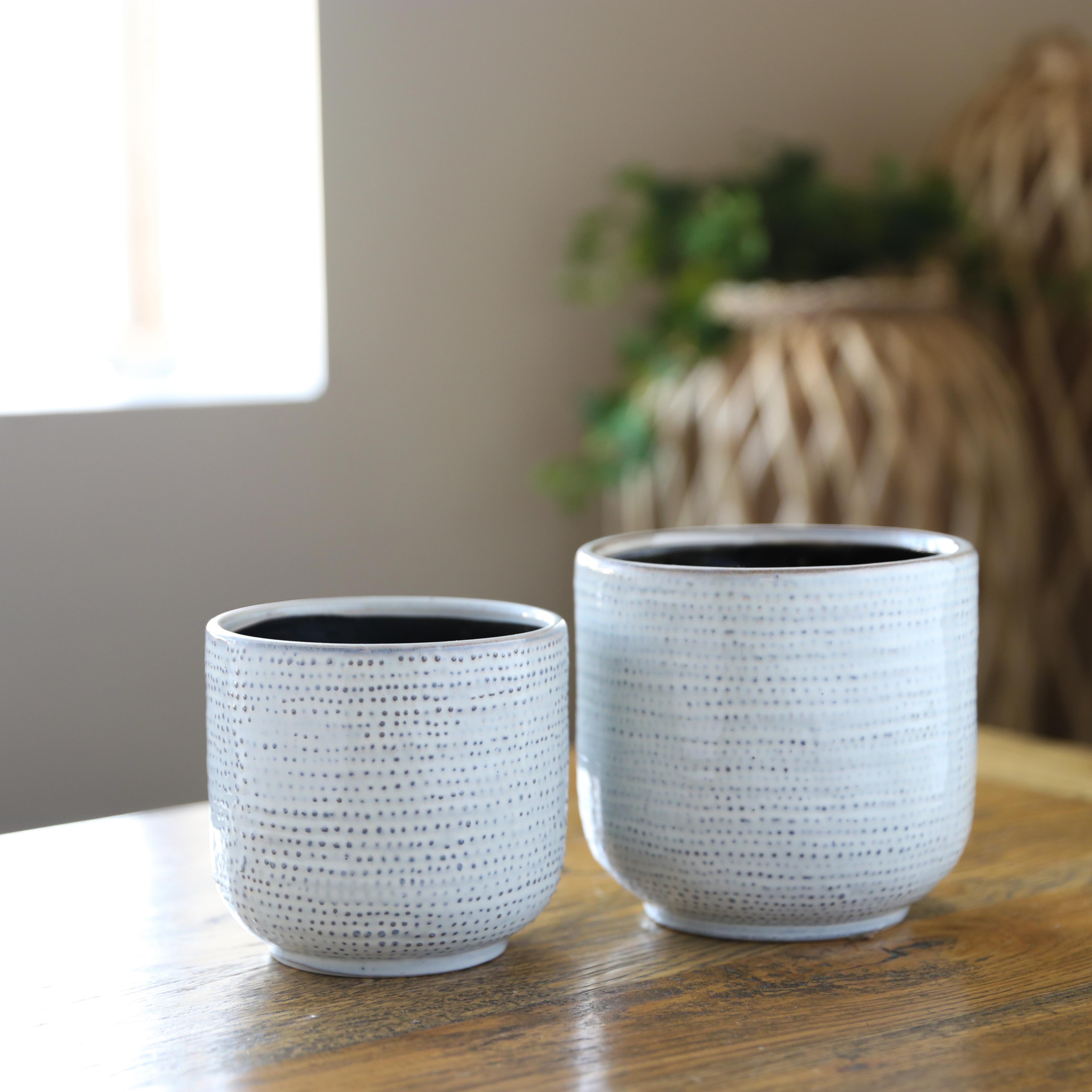 Ceramic Planters – Page 4 – Urban Trends Collection