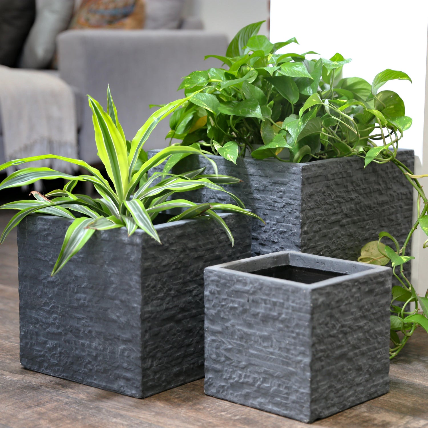 Square Planters