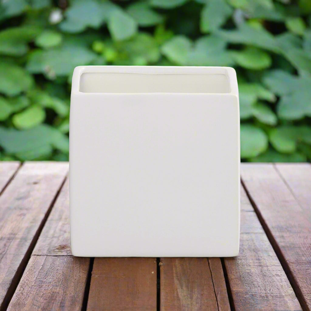 Zelvia Square Ceramic Pot