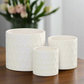 Hexora Ceramic Patterned Planter Set (Set of 3)