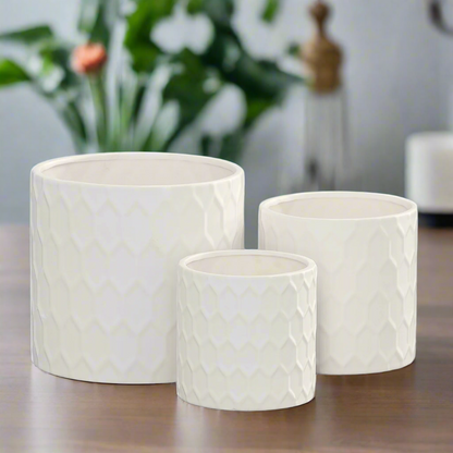 Hexora Ceramic Patterned Planter Set (Set of 3)