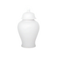 Darmelle Matte Ceramic Temple Jar