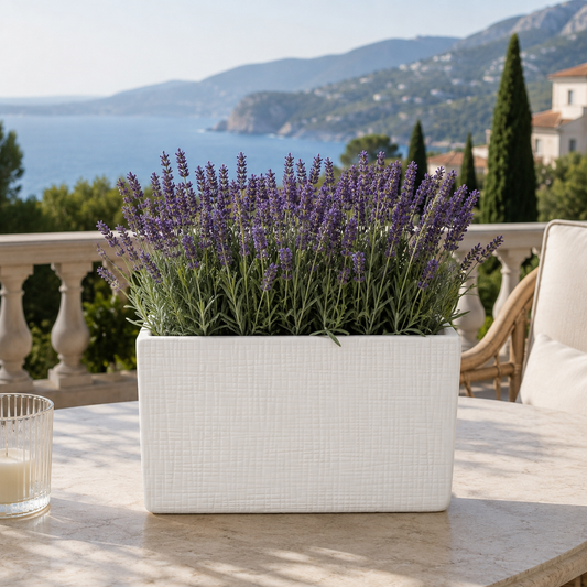 Aeros Ceramic Rectangle Vase