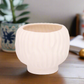 Alyzzabeth Ceramic Ridged Pot