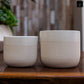 Ceramic Pot Matte Finish