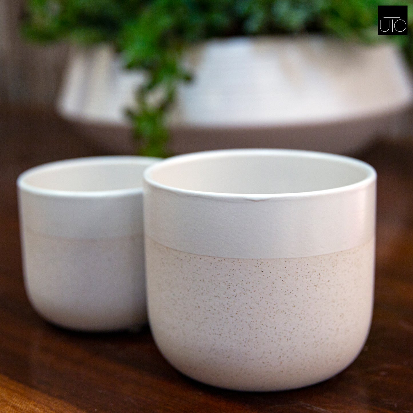 Ceramic Pot Matte Finish
