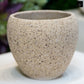 Granova Beige Cement Oval Pot
