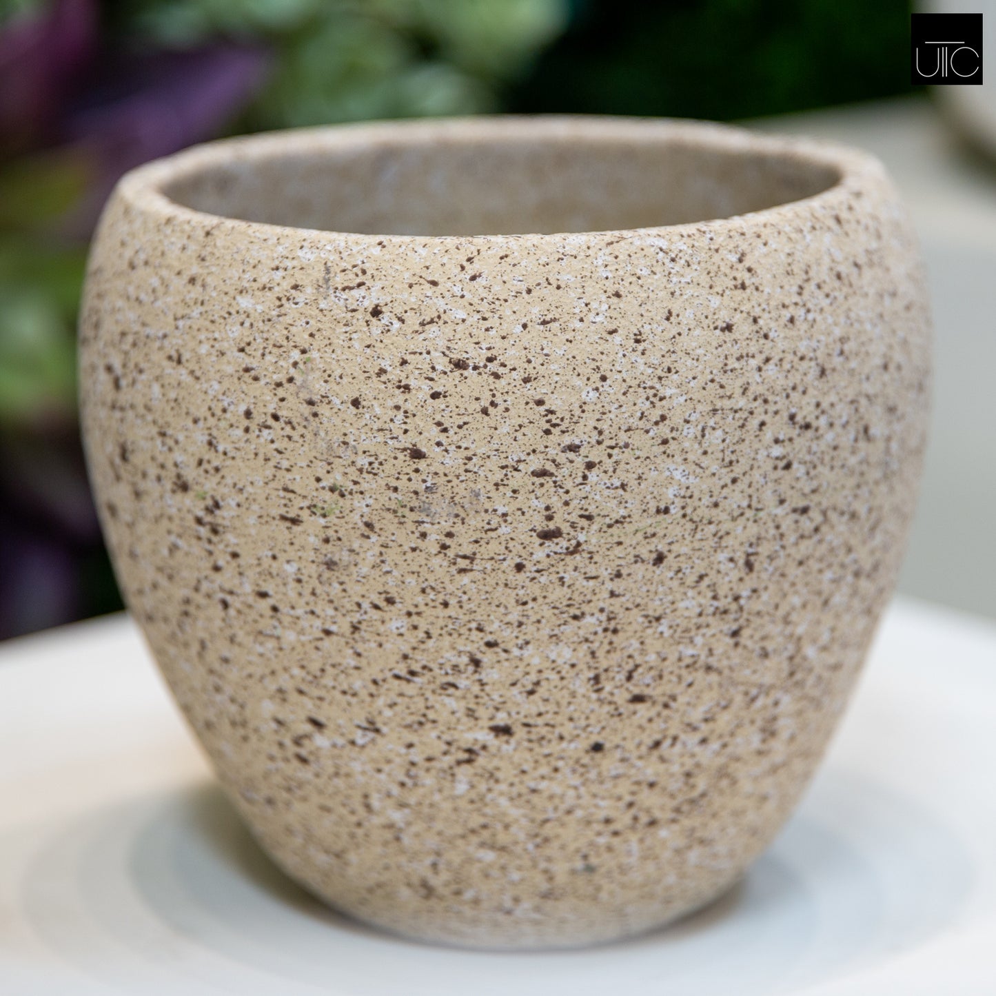 Granova Beige Cement Oval Pot
