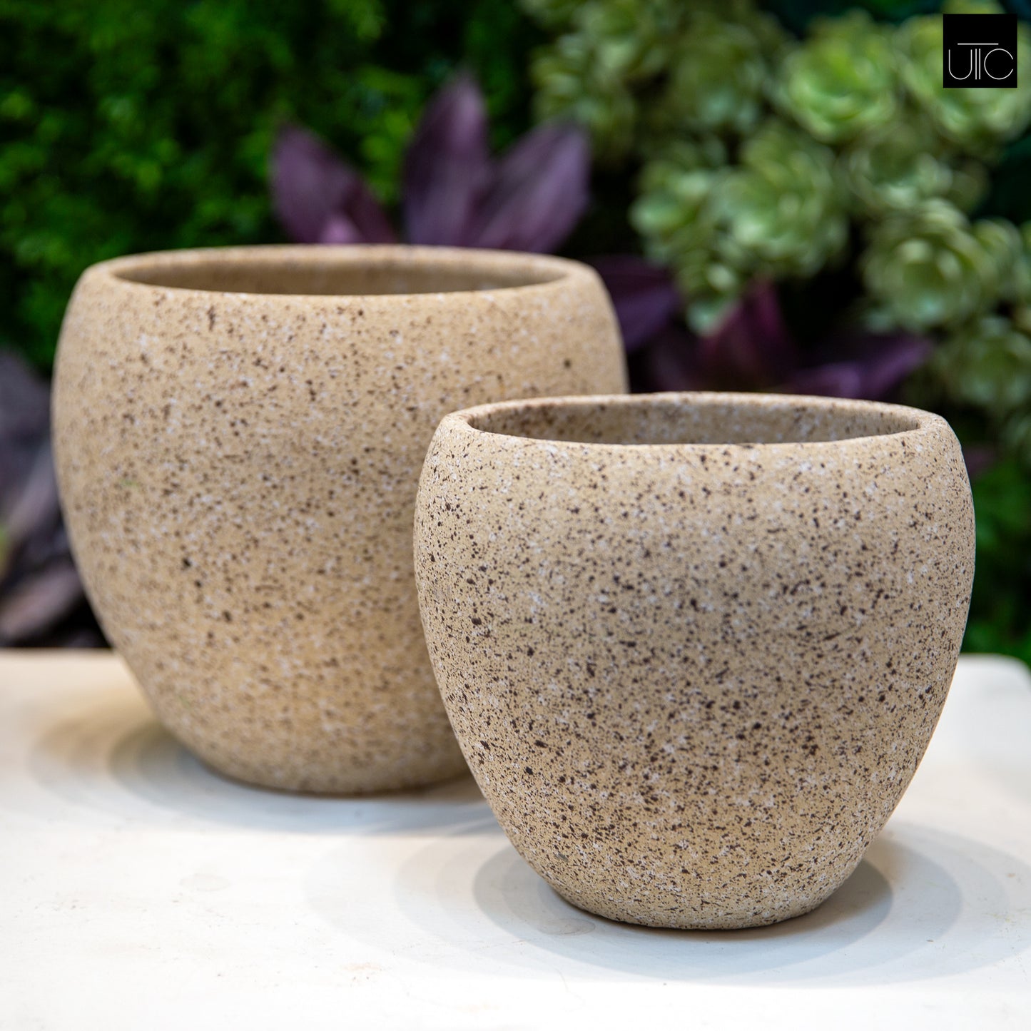 Granova Beige Cement Oval Pot