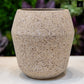 Fiora Beige Cement Planter