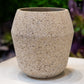 Fiora Beige Cement Planter
