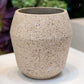 Fiora Beige Cement Planter