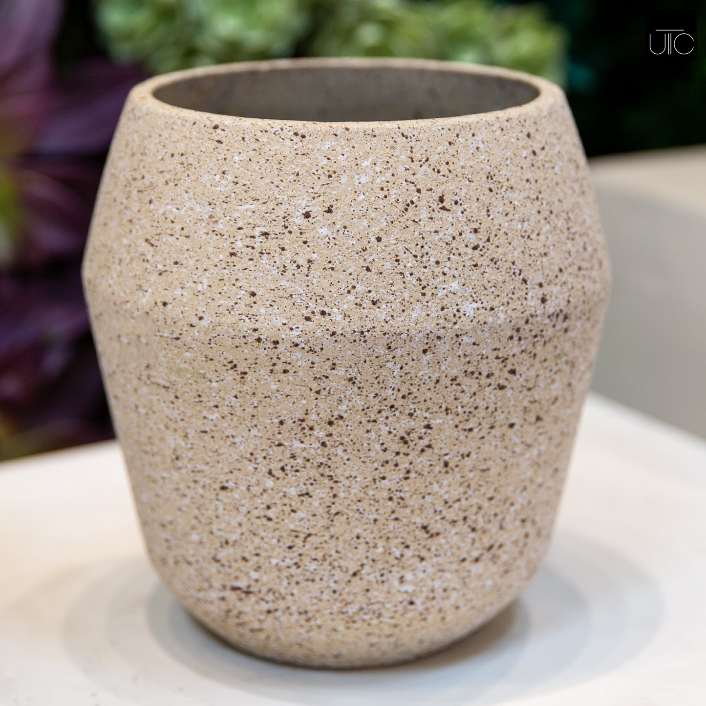 Fiora Beige Cement Planter