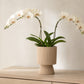 Oksana Ribbed Stoneware Vase with Tapered Pedestal Base