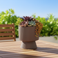 Oksana Ribbed Stoneware Vase with Tapered Pedestal Base