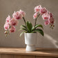 Oksana Ribbed Stoneware Vase with Tapered Pedestal Base